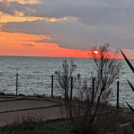 Studio Cosy Vue Et Front De Mer Sète Dış mekan fotoğraf
